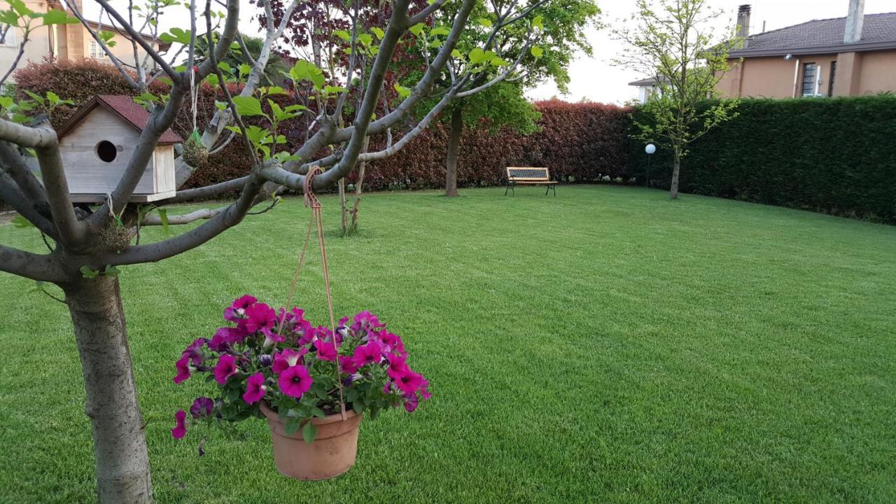 Bed and Breakfast Il Farfasole Vigonovo  Экстерьер фото